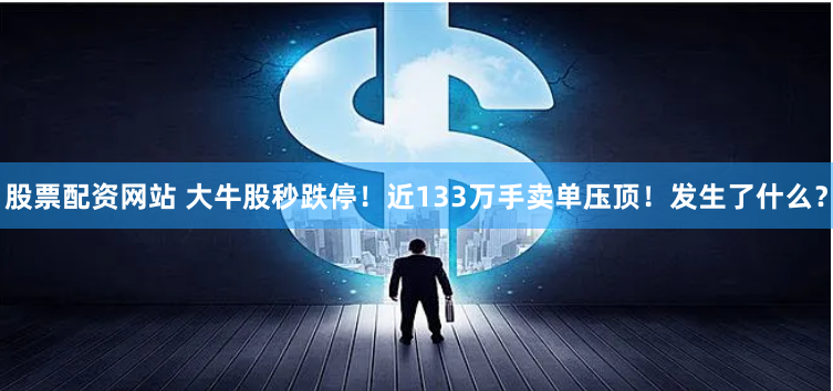 股票配资网站 大牛股秒跌停！近133万手卖单压顶！发生了什么？